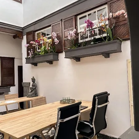 Gato Azul - Coliving Pensión *