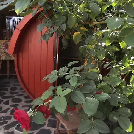 Gato Azul - Coliving Pensión