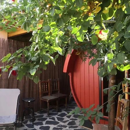 Pensión Gato Azul - Coliving