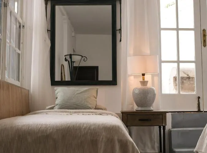 Gato Azul - Coliving * La Orotava