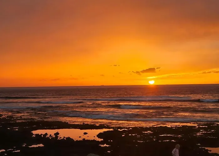 Gato Azul - Coliving